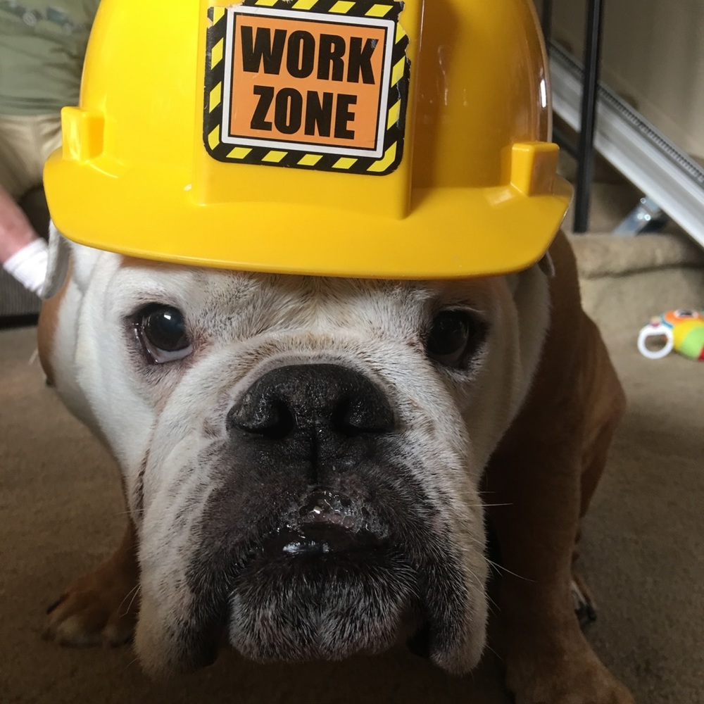 Meet your Posher, Jeff